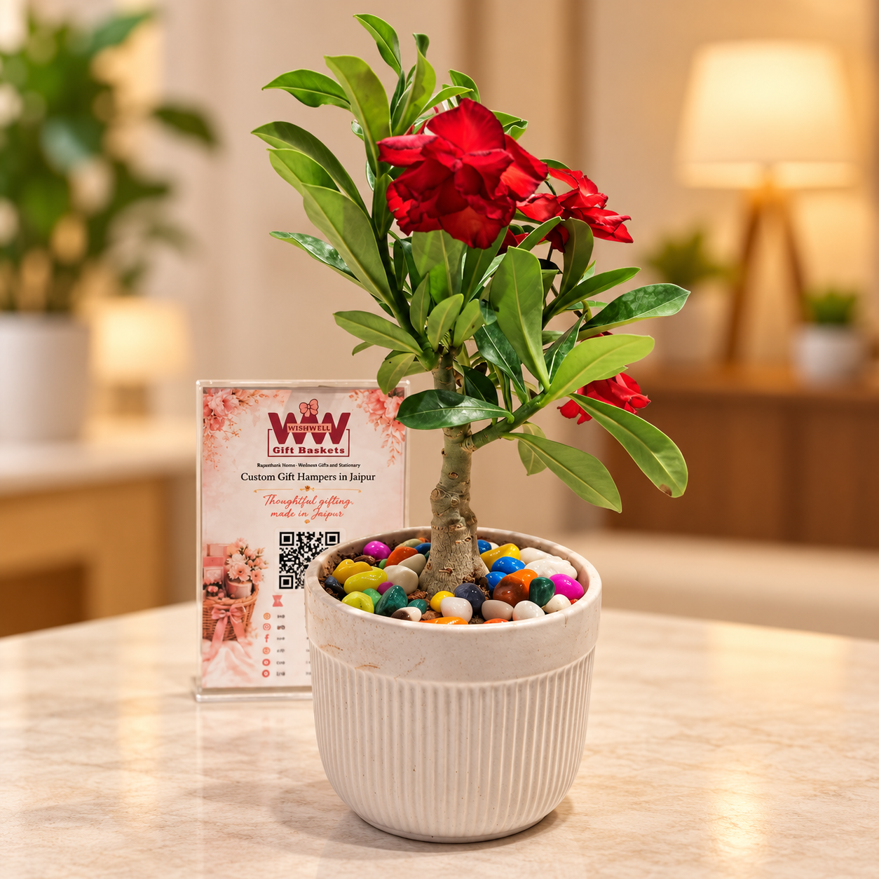 Live Plant Vase (Mid Size)